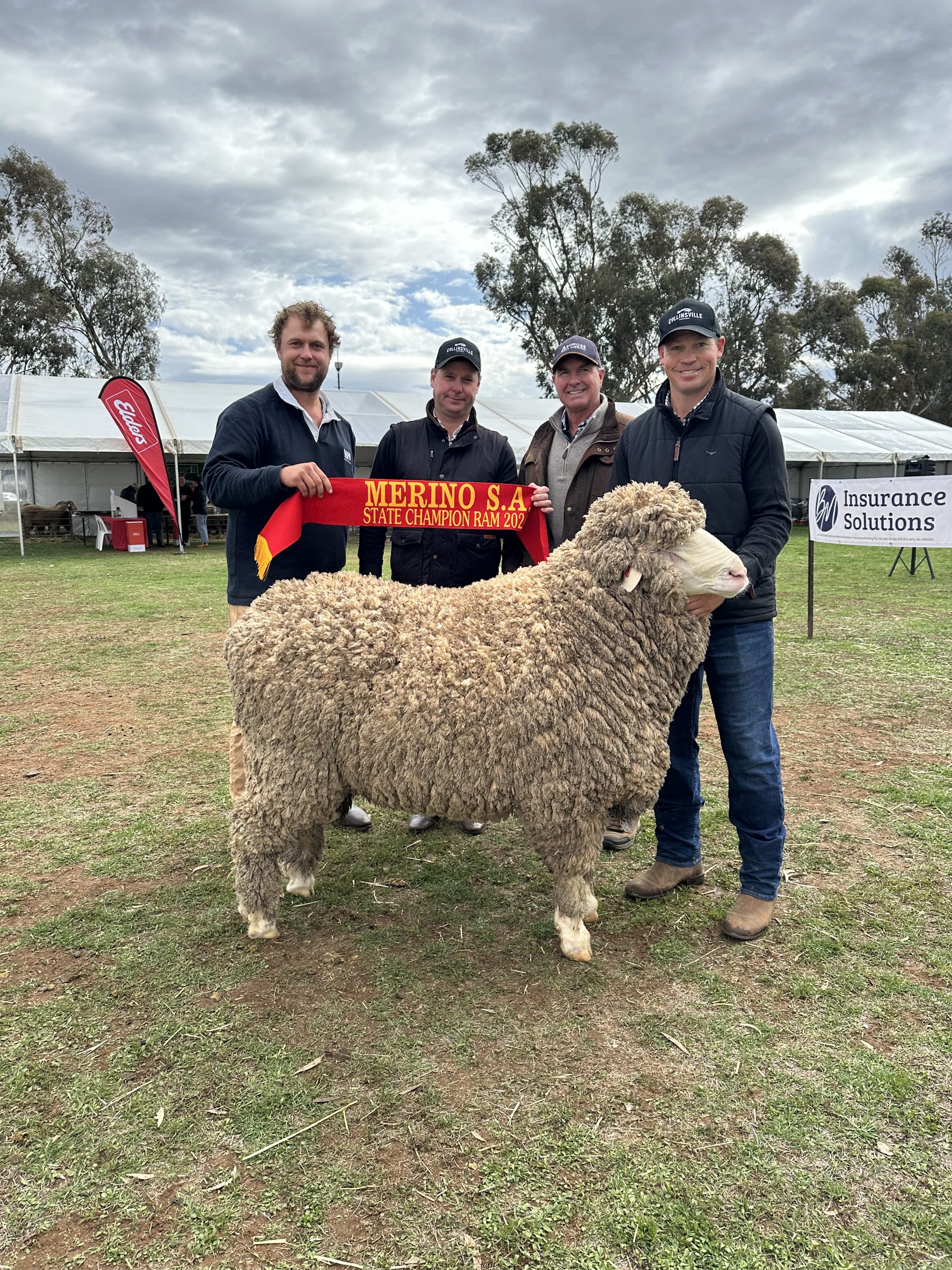 NORTHERN SA MERINO EXPO RESULTS 2024